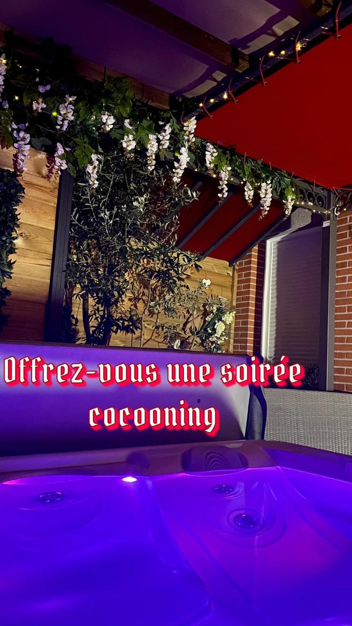 Un Petit Coin De Paradis Toulouse Exterior photo
